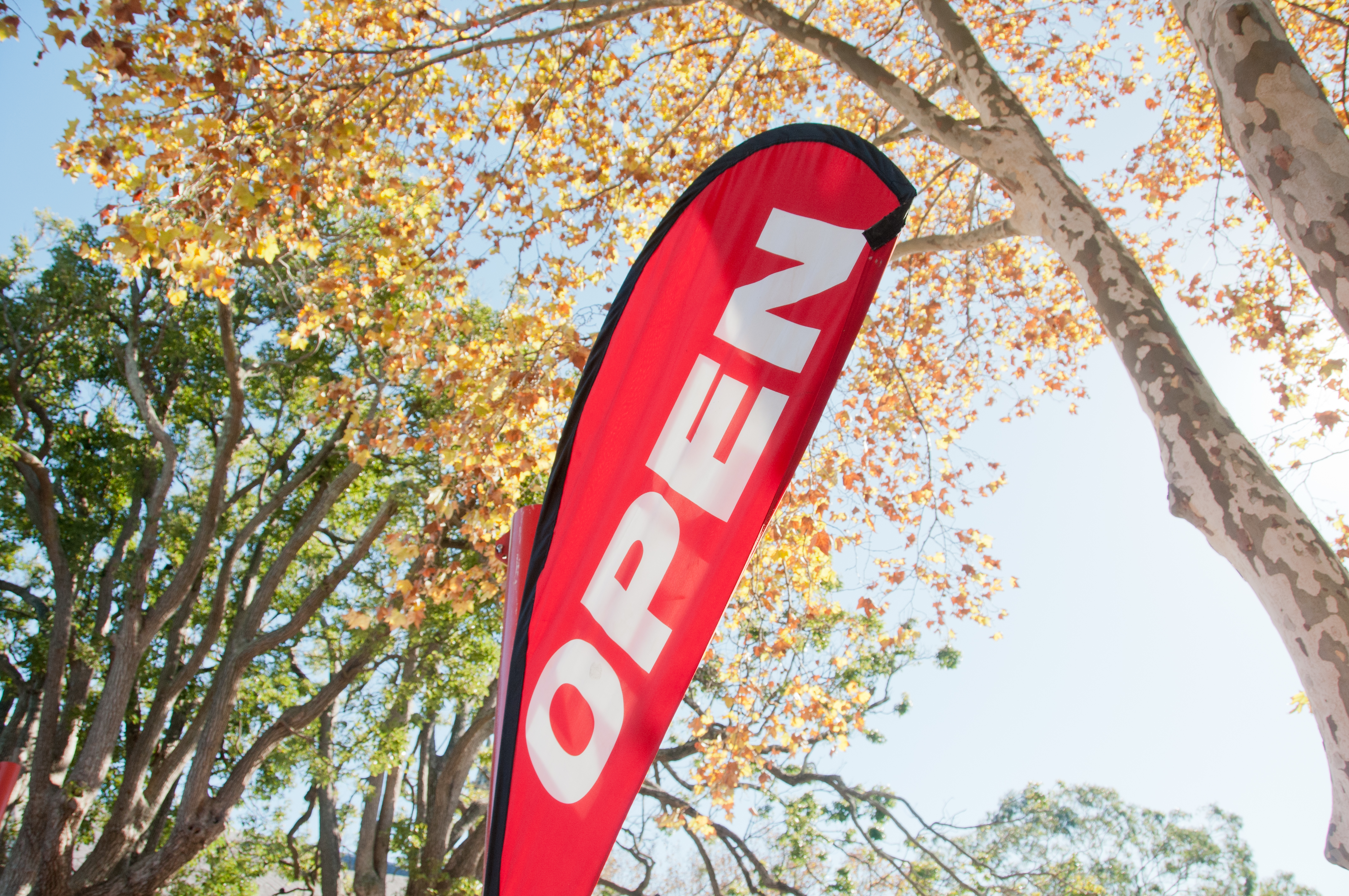 The Importance of Hosting Open Days At Your Orthodontic Practice The Importance of Hosting Open Days At Your Orthodontic Practice